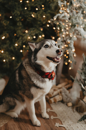 PCO00207