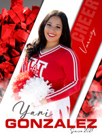 YARI