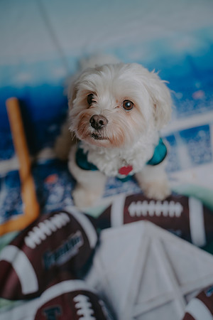 PCO01257