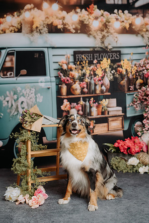 PCO00160