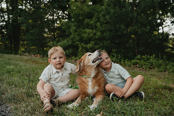 PCO01330